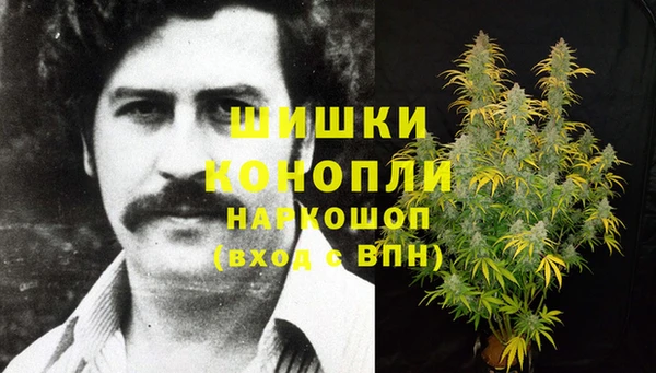 спиды Богородск
