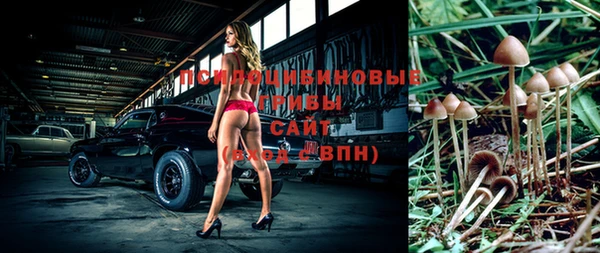 винт Богородицк