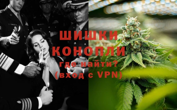 спиды Богородск