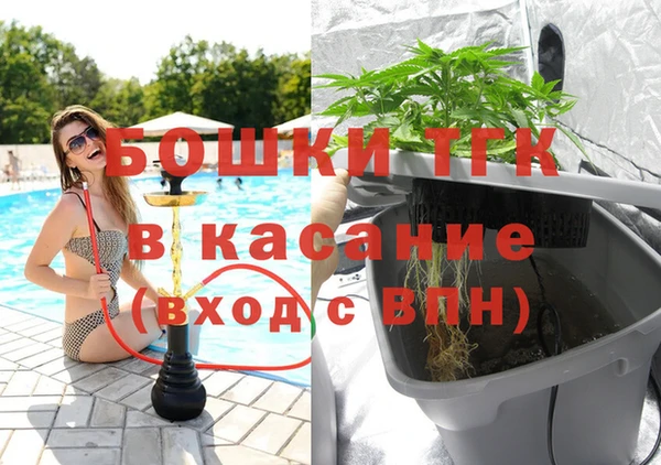 спиды Богородск